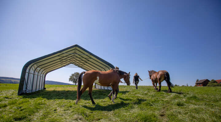 ShelterLogic Weidezelt